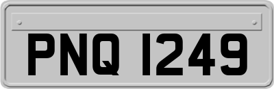 PNQ1249