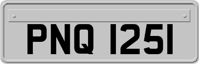 PNQ1251