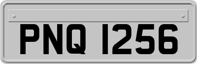 PNQ1256