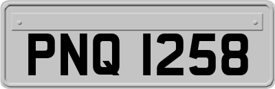 PNQ1258