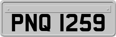 PNQ1259