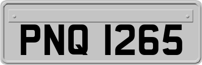 PNQ1265