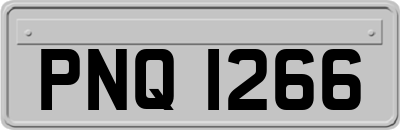 PNQ1266