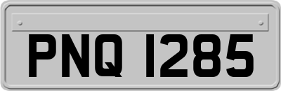 PNQ1285