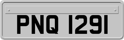 PNQ1291