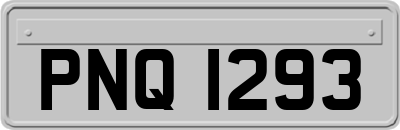PNQ1293