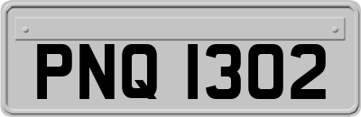 PNQ1302