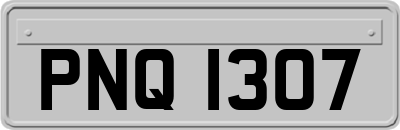 PNQ1307