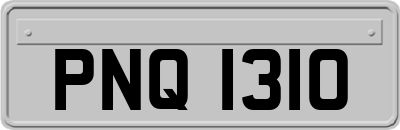 PNQ1310