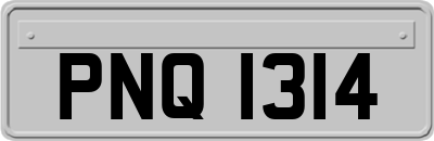 PNQ1314