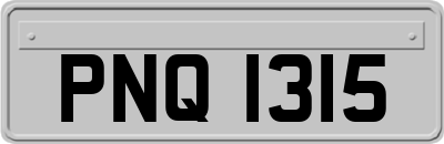 PNQ1315