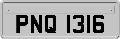 PNQ1316