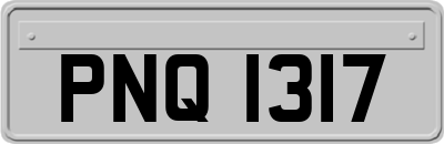 PNQ1317