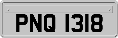 PNQ1318
