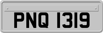 PNQ1319