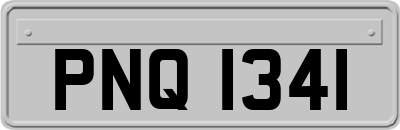 PNQ1341