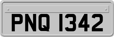 PNQ1342