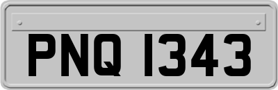 PNQ1343
