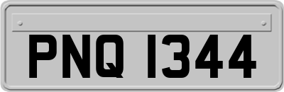 PNQ1344