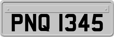PNQ1345