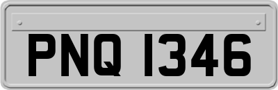 PNQ1346