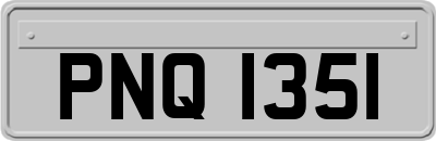 PNQ1351