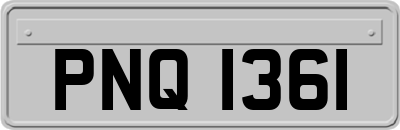 PNQ1361
