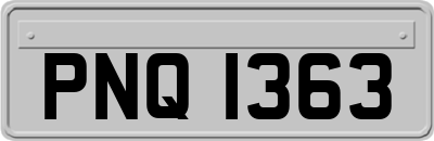 PNQ1363