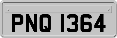 PNQ1364