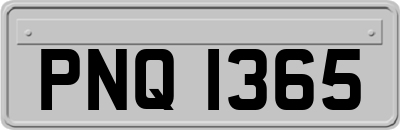 PNQ1365