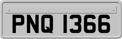 PNQ1366