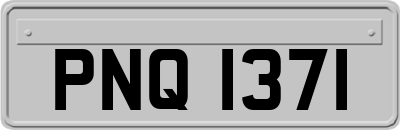 PNQ1371