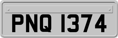 PNQ1374