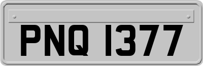 PNQ1377