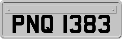 PNQ1383