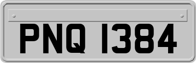 PNQ1384