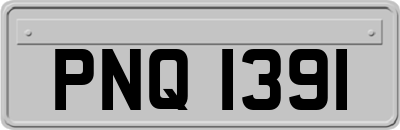 PNQ1391