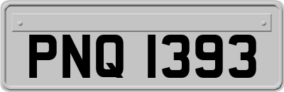 PNQ1393
