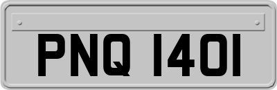 PNQ1401
