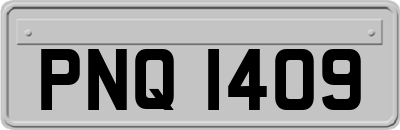 PNQ1409