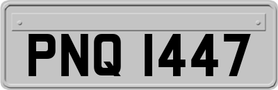 PNQ1447