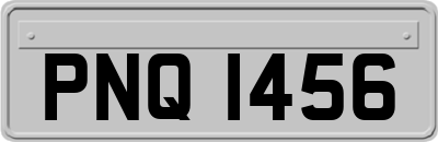 PNQ1456