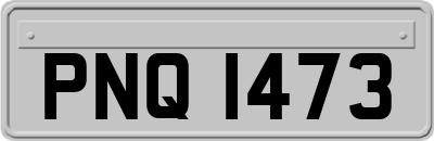 PNQ1473