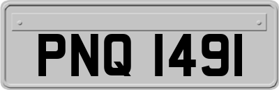 PNQ1491