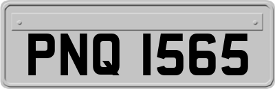 PNQ1565