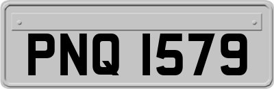 PNQ1579
