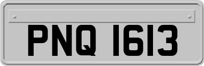 PNQ1613