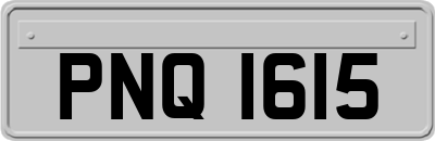 PNQ1615