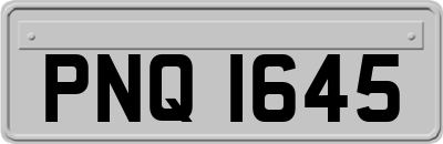 PNQ1645