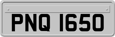 PNQ1650